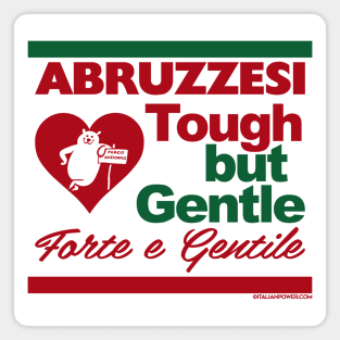 RETRO REVIVAL - Abruzzesi Tough But Gentle Magnet